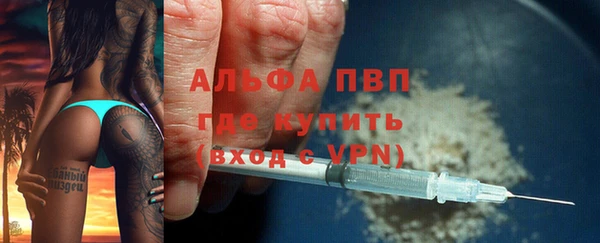 СК Алзамай