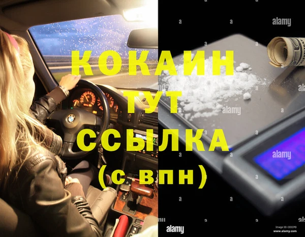 СК Алзамай