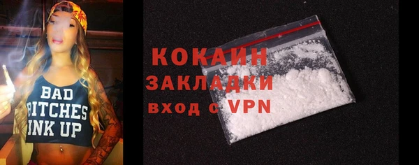 твердый Инсар