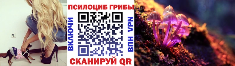 магазин продажи наркотиков  Кореновск  hydra онион  Галлюциногенные грибы GOLDEN TEACHER 