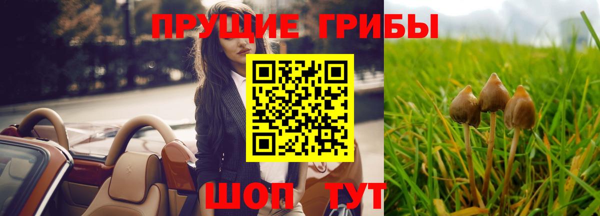 Псилоцибиновые грибы прущие грибы  Вход с VPN  Кореновск  где можно купить наркотик  Галлюциногенные грибы Magic Shrooms 